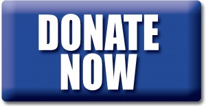 Donate-Now-Button-2