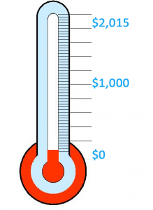 matching fund 2015